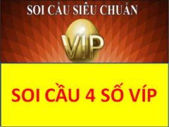 Làm Sao Để Soi Cầu Lô VIP 4 Số Xác Suất Về Giải Cao?